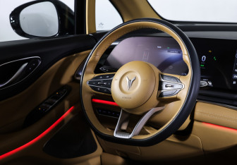 Подержанный автомобиль Voyah Dream 2023 года (14 фото)