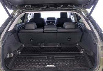 Подержанный автомобиль Lexus RX 2021 года (10 фото)