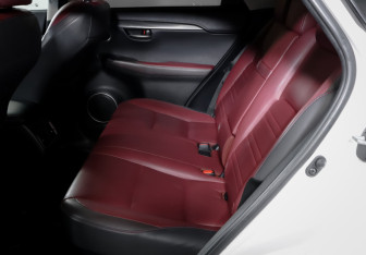 Подержанный автомобиль Lexus NX 2017 года (10 фото)