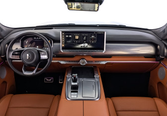 Подержанный автомобиль Tank 700 2024 года (14 фото)