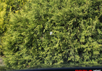 Подержанный автомобиль Zeekr 001 2023 года (26 фото)