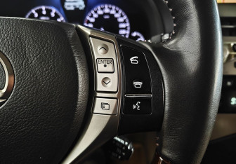 Подержанный автомобиль Lexus RX 2013 года (15 фото)