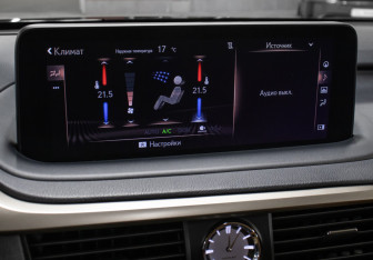 Подержанный автомобиль Lexus RX 2020 года (20 фото)