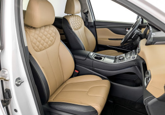 Подержанный автомобиль Hyundai Santa Fe 2022 года (24 фото)