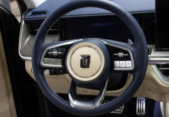 Подержанный автомобиль Tank 500 2023 года (18 фото)