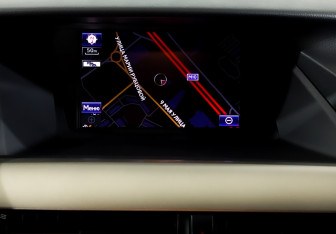 Подержанный автомобиль Lexus RX 2013 года (15 фото)