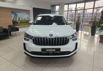 Новый Skoda Kodiaq 2025 (8 фото)
