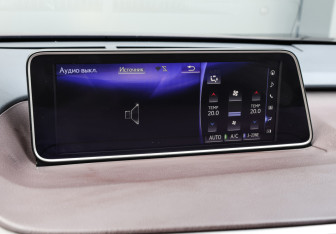 Подержанный автомобиль Lexus RX 2018 года (19 фото)
