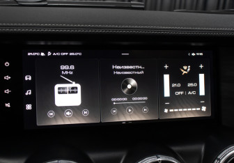 Подержанный автомобиль Tank 300 2024 года (20 фото)