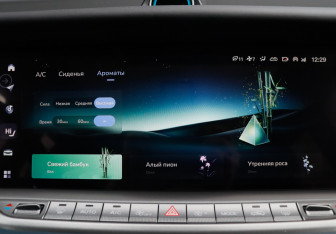 Подержанный автомобиль Voyah Free 2023 года (13 фото)