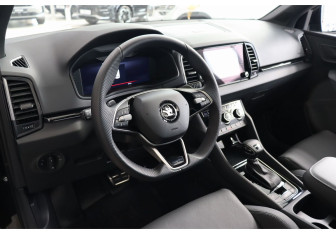 Новый Skoda Karoq 2025 (13 фото)
