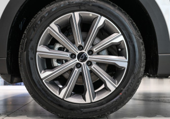 Новый Chery Tiggo 9 2025 (15 фото)