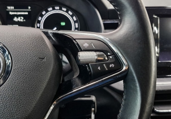 Подержанный автомобиль Skoda Rapid Liftback 2022 года (25 фото)