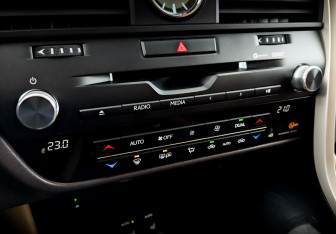 Подержанный автомобиль Lexus RX 2019 года (28 фото)