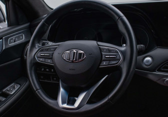 Подержанный автомобиль Hyundai Palisade 2019 года (14 фото)