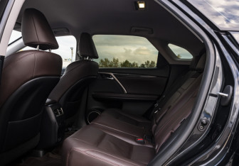 Подержанный автомобиль Lexus RX 2020 года (17 фото)