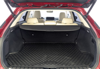 Подержанный автомобиль Lexus RX 2021 года (10 фото)