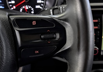 Подержанный автомобиль Kia Rio Sedan 2017 года (28 фото)