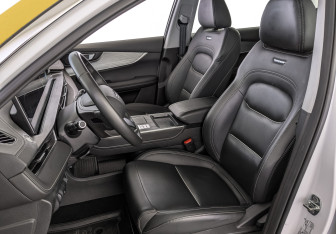 Подержанный автомобиль Chery Tiggo 7 Pro Max 2024 года (20 фото)