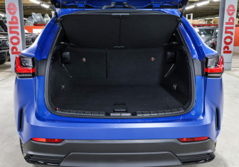 Новый Lexus NX 2022 (10 фото)