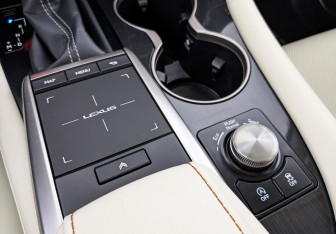 Подержанный автомобиль Lexus RX 2021 года (21 фото)