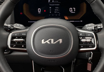 Новый Kia Carnival 2025 (22 фото)