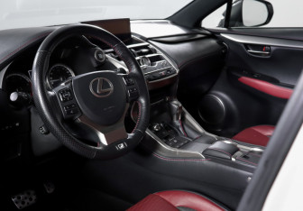 Подержанный автомобиль Lexus NX 2019 года (14 фото)
