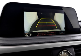 Подержанный автомобиль Lexus RX 2019 года (30 фото)