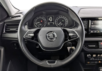 Подержанный автомобиль Skoda Rapid Liftback 2022 года (21 фото)