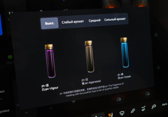 Подержанный автомобиль LiXiang L9 2024 года (17 фото)