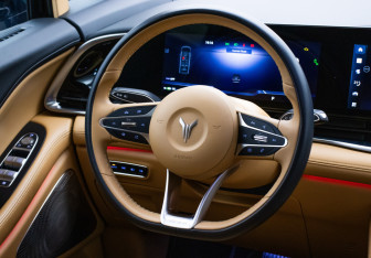 Подержанный автомобиль Voyah Dream 2023 года (14 фото)