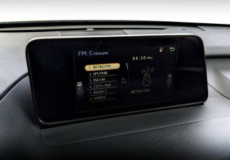 Подержанный автомобиль Lexus RX 2019 года (27 фото)