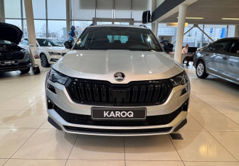 Новый Skoda Karoq 2025 (9 фото)