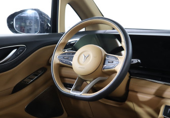 Подержанный автомобиль Voyah Dream 2023 года (15 фото)