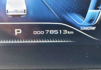 Подержанный автомобиль Changan Hunter Plus 2024 года (19 фото)