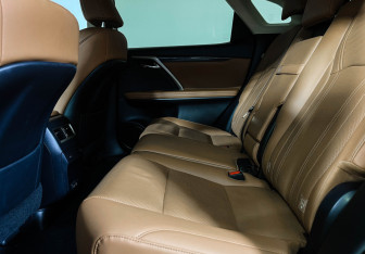 Подержанный автомобиль Lexus RX 2020 года (10 фото)