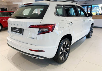 Новый Skoda Karoq 2025 (7 фото)