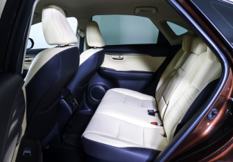 Подержанный автомобиль Lexus NX 2017 года (11 фото)