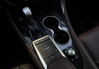 Подержанный автомобиль Lexus RX 2020 года (22 фото)