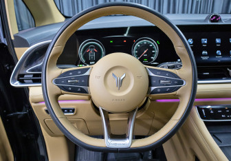 Подержанный автомобиль Voyah Dream 2023 года (17 фото)