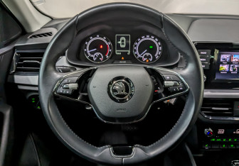 Подержанный автомобиль Skoda Rapid Liftback 2022 года (22 фото)