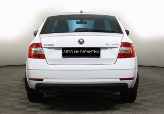 Подержанный автомобиль Skoda Octavia Liftback 2019 года (6 фото)