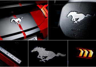 Подержанный автомобиль Ford Mustang Coupe 2024 года (20 фото)