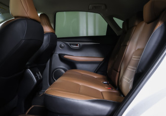 Подержанный автомобиль Lexus NX 2017 года (12 фото)