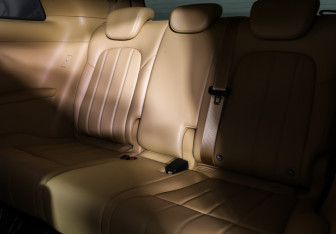 Подержанный автомобиль Voyah Dream 2024 года (13 фото)