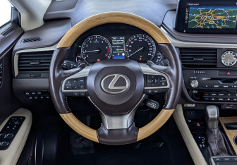 Подержанный автомобиль Lexus RX 2019 года (22 фото)
