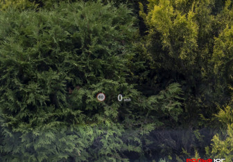 Подержанный автомобиль BMW X4 2017 года (31 фото)