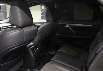 Подержанный автомобиль Lexus RX 2019 года (10 фото)