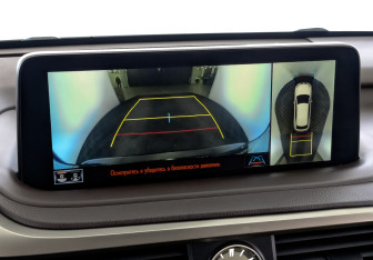 Подержанный автомобиль Lexus RX 2019 года (28 фото)