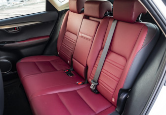 Подержанный автомобиль Lexus NX 2018 года (18 фото)